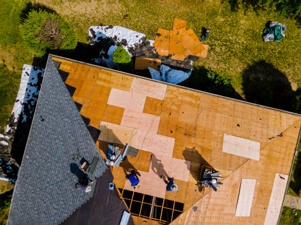 Best Roof Gutter Cleaning  in Medina, TN